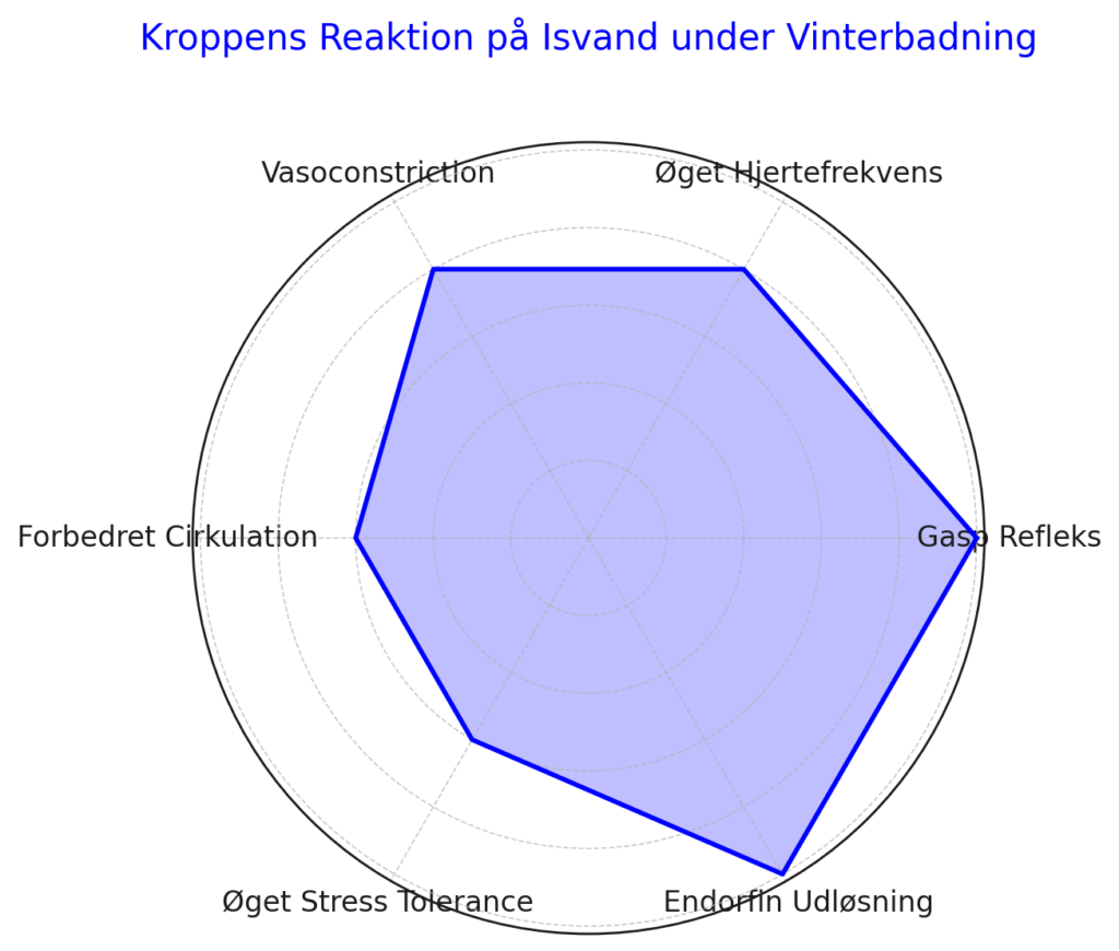 Her er en visualisering, der illustrerer de forskellige fysiologiske reaktioner og tilpasninger, som kroppen gennemgår, når man sænker sig ned i isvand under vinterbadning. Hver kategori på diagrammet repræsenterer en bestemt reaktion eller fordel, med en skala fra 1 til 5 baseret på intensiteten eller betydningen af hver reaktion.

Dette hjælper med at give et overblik over, hvordan kroppen tilpasser sig og reagerer på den ekstreme kulde, hvilket er central i forståelsen af vinterbadningens sundhedsmæssige fordele.